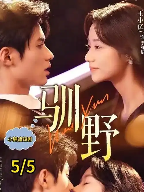 山海食肆 热播电视剧更新至22集